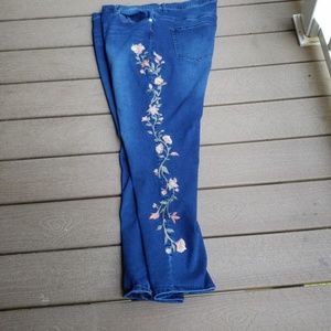 Diane gillman hsn jeans 20wt